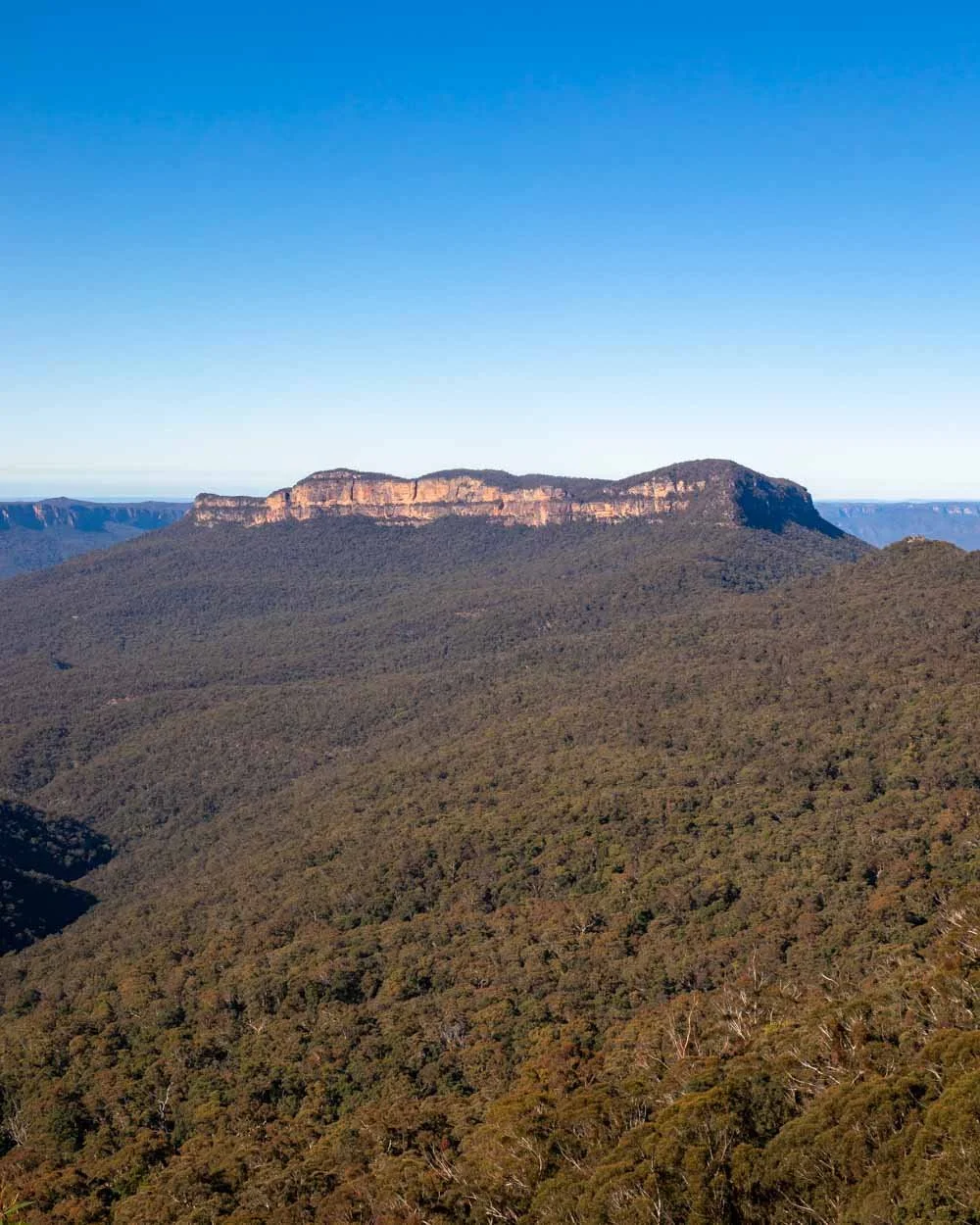 Blue mountains day hikes hot sale